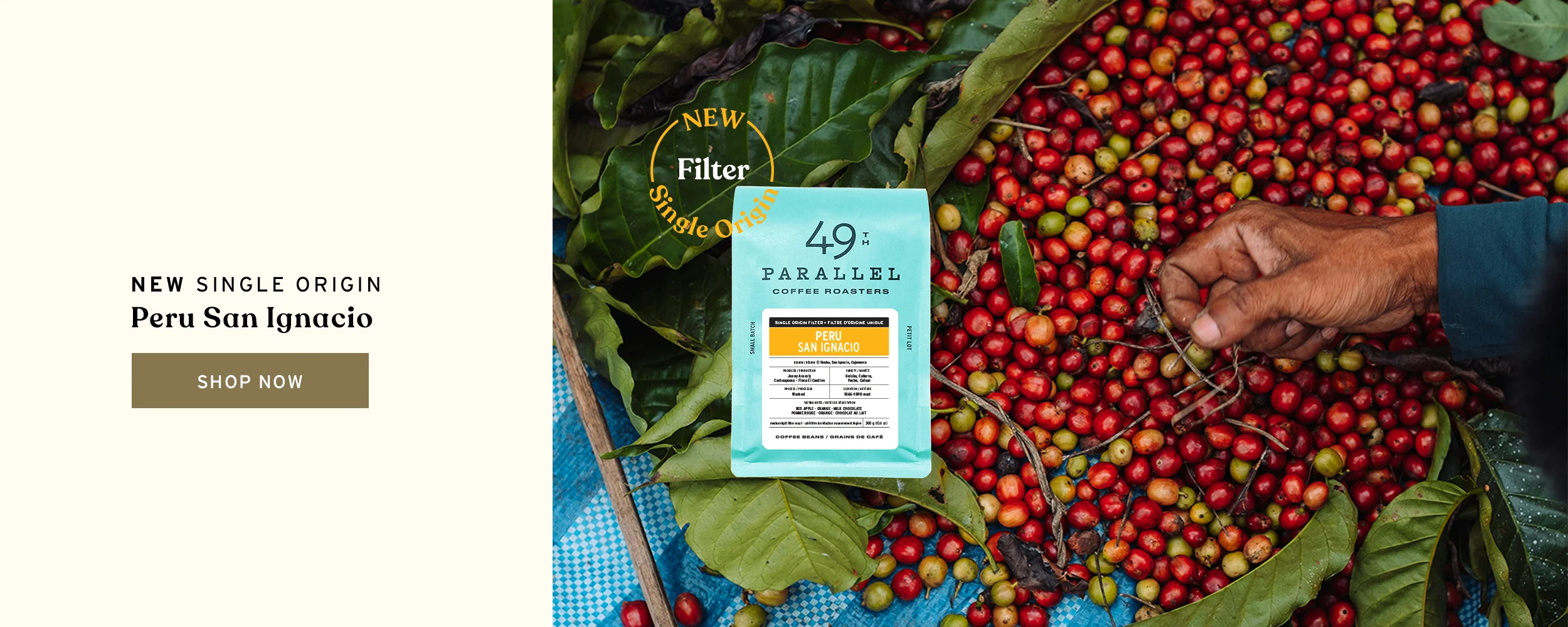 Exceptional Coffee, Roasted for Curiosity